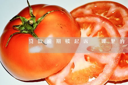 贷款逾期被起诉 哪里的法院 贷款逾期被起诉 哪里的法院